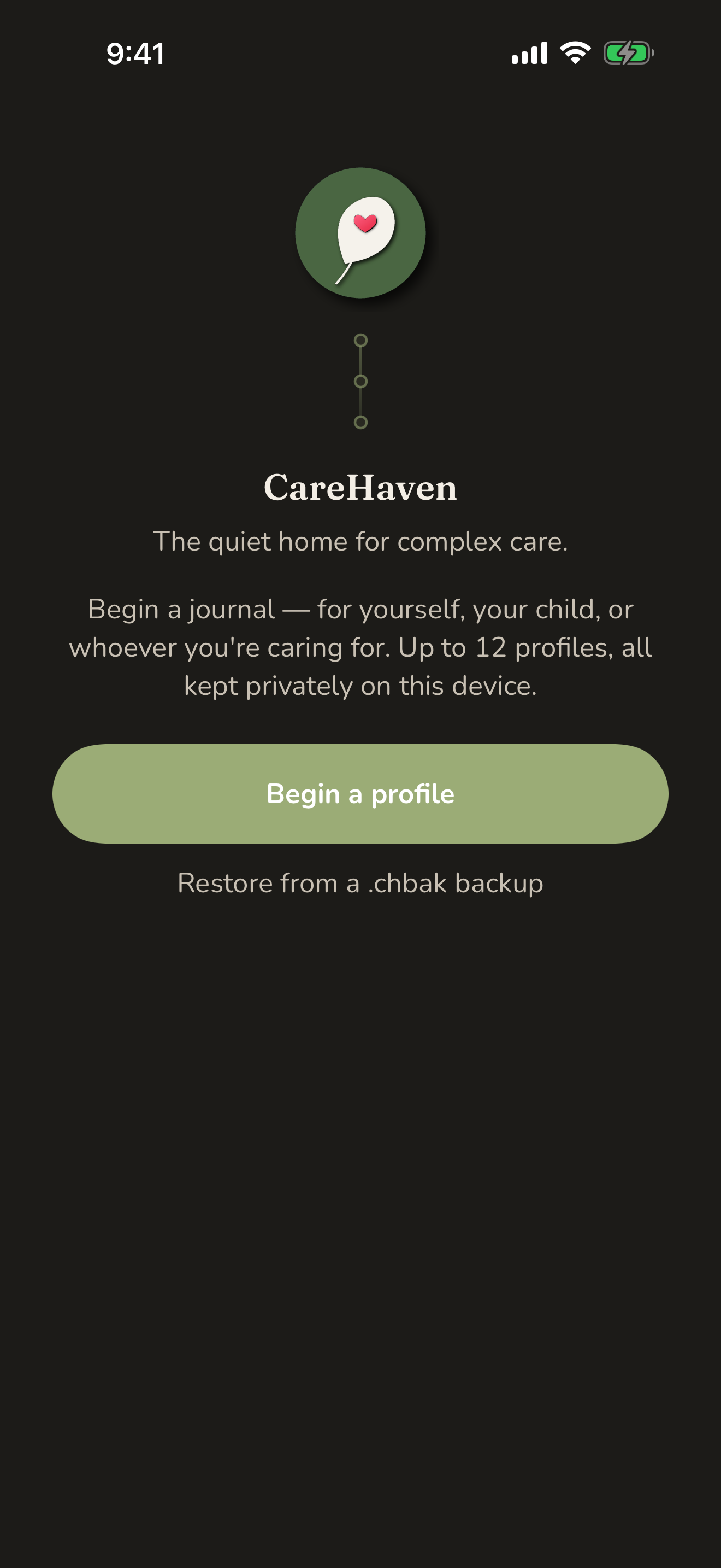 A new profile, ready for your first entries